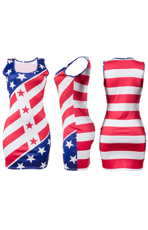 Women's Independence Day Flag Slim Fit Print Dress