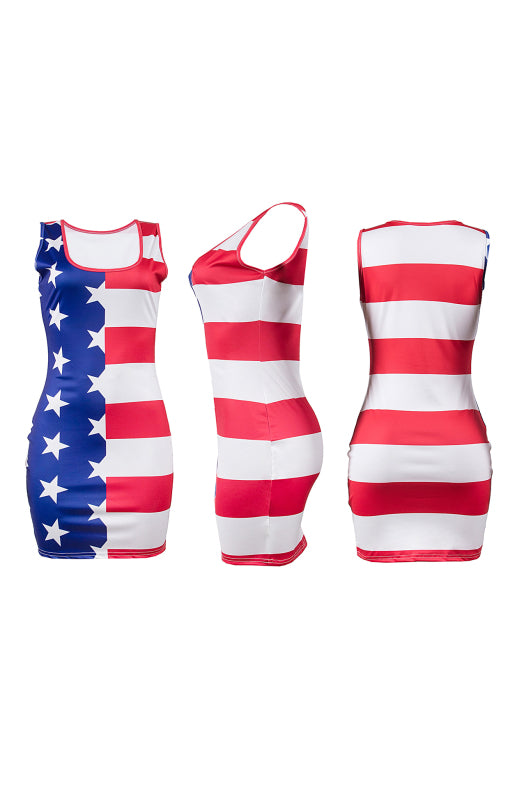 Women's Independence Day Flag Slim Fit Print Dress