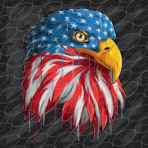 American Eagle Head on US Flag ~ Next Level Fitted Crew 3600