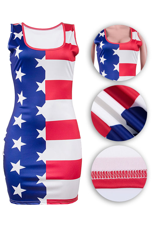 Women's Independence Day Flag Slim Fit Print Dress