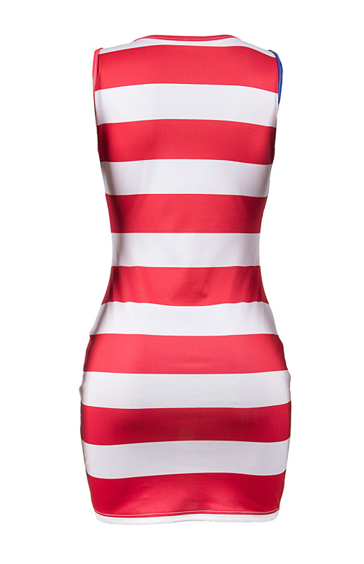 Women's Independence Day Flag Slim Fit Print Dress